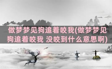 做梦梦见狗追着咬我(做梦梦见狗追着咬我 没咬到什么意思啊)